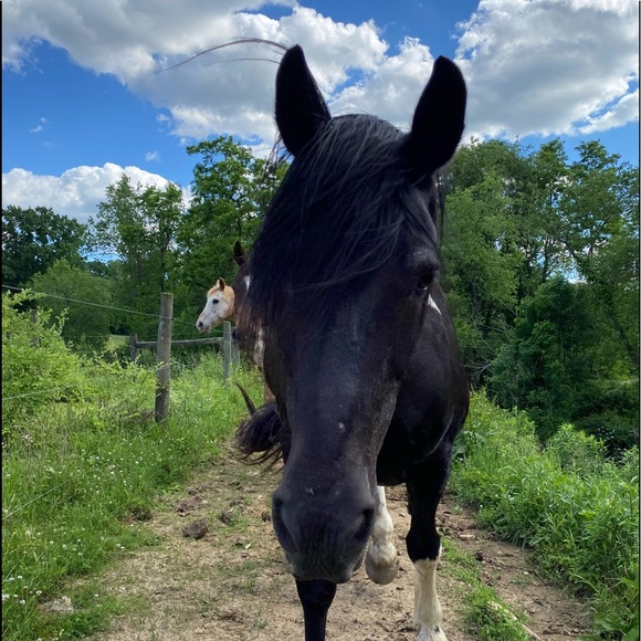 Meet your Posher, Jenny - Picture 17 of 17